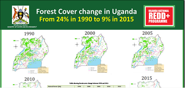 Forest cover change in Uganda 1990-2015