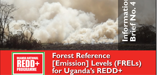 Information Brief on Forest Reference Emission Levels