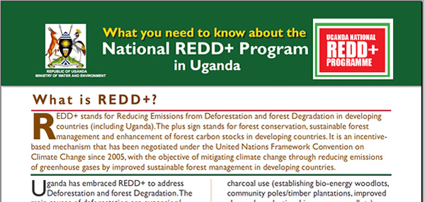 Uganda National REDD+ Programme Flyer